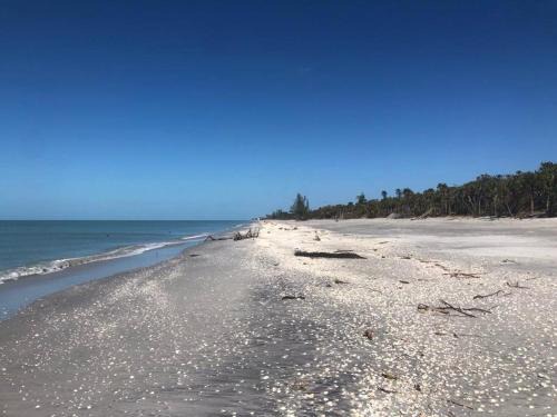 Port Charlotte Villa | Sea Star 3 bedroom 2 bath BBQ