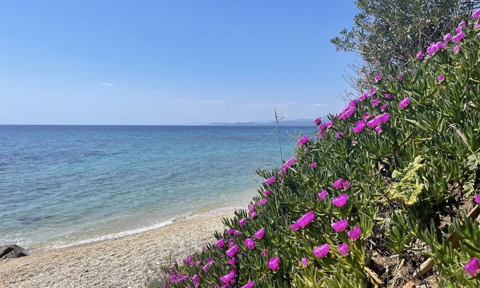 Elia Apartment | Sea View Apartment Anastasia