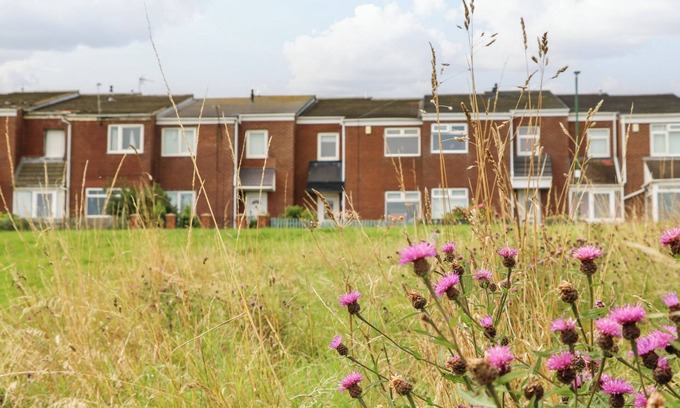 South Shields Cottage | SEA VIEW COTTAGE, pet friendly, with a garden in South Shields