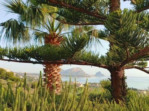 Altavilla Milicia Apartment | Sea View Holiday