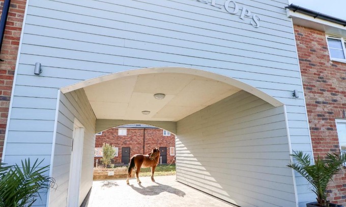 Newport House | Seabiscuit