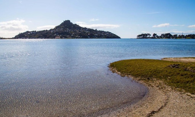 Tairua Bed & Breakfast | Seagrass Studio