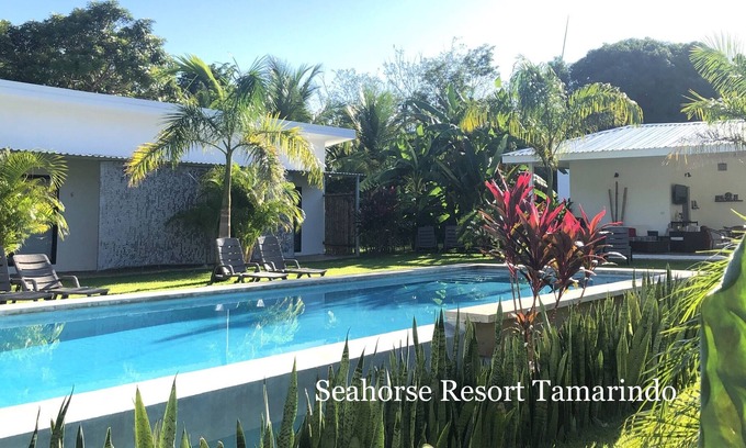 Tamarindo Hotel | Seahorse Resort and Dive Center