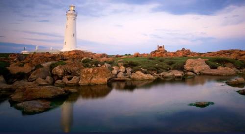 Cape Saint Francis Apartment | Seal Point apartment