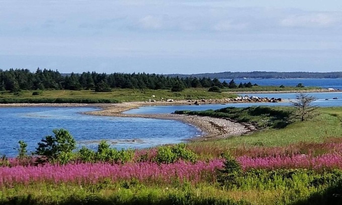 Larry's River House | Seaside Cottage in Beautiful Charlo’s Cove
