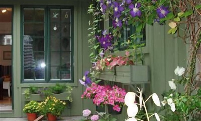 Campground Landing House | Seaside Garden: 2 min walk to the Bay, peaceful, private, bird haven.