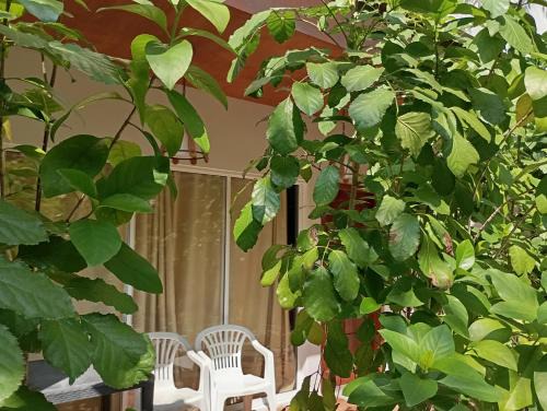 Vaavu Atoll House | Seaview by Ukulhas