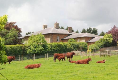 Towcester Bed & Breakfast | Seawell