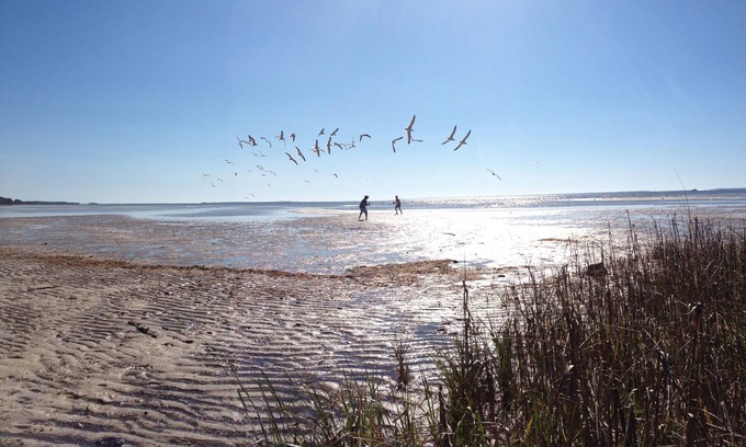 Port St. Joe Cottage | Seay Shack- A true, shabby chic, Old Florida Cottage!