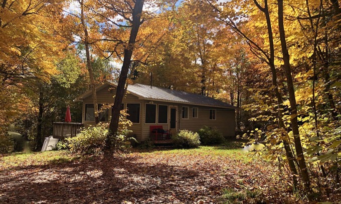 Armour House | Secluded 10 Acre Cottage with Canoes, Kayaks and Fun!
