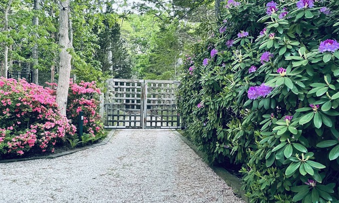Springs House | Secluded Artist & Architect House With Magical Garden, mid century modern