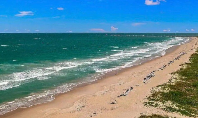 Fort Pierce Shores House | Secluded Beachfront Vibes Surf Pet Friendly
