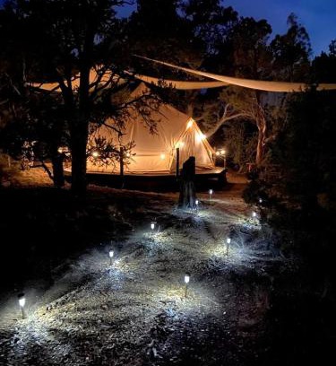 Duchesne Other | Secluded Bell Tent Nestled in the Pines in Duchesne, Utah
