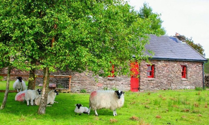 Caragh Other | Secluded hamlet over lake and mountain, flocks of lambs and dams, stunning views