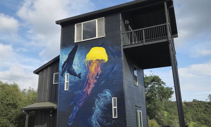 Vallecito Apartment | Secluded Hilltop Tower Private Pond EV Charger Firepit Sauna Cold Plunge Dogs ok