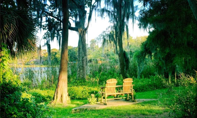 Greater Northdale House | Secluded Lakefront House short drive to Beaches, Busch Gardens, Stadium, Disney