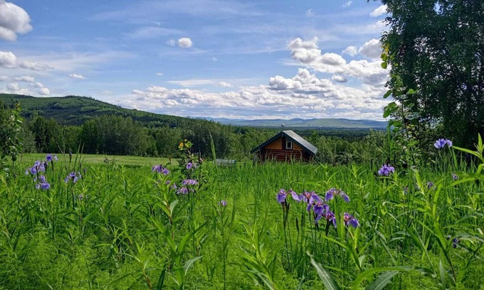 Fairbanks Cabin | Secluded Log Cabin, 30 min from Chena Hot Springs