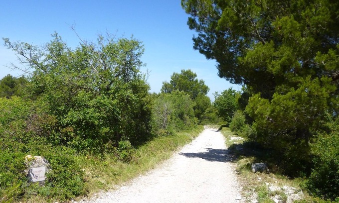 La Roque-sur-Pernes House | Secluded property, views 100 Km, 4-acre park, 17m long pool
