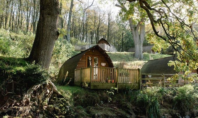 Wing Cabin | Secluded Woodland Cabin in North Cumbria