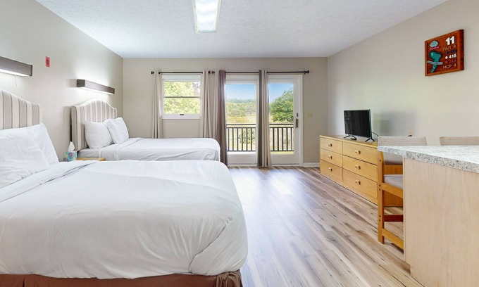 Baneberry Apartment | Second-floor, dog-friendly studio with quiet views & gym - walk to Douglas Lake