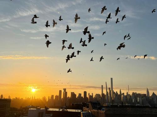 Union City Apartment | See NY Now Sleeps 21