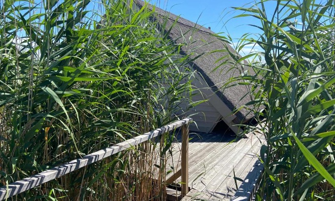 Rust House | Seehütte Neusiedlersee - Waterfront 2