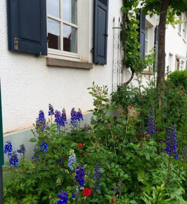 Bad Kreuznach District Apartment | SEELIG`S
