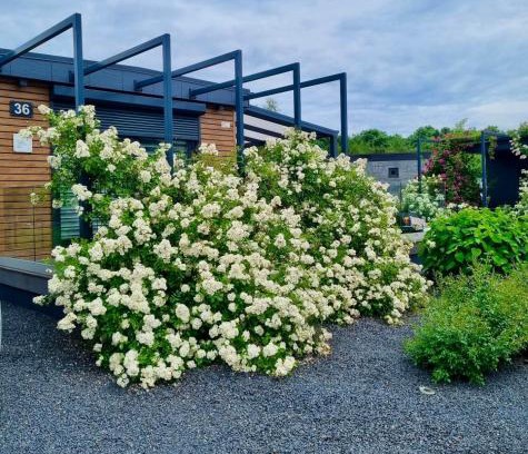 Goch House | Seepark Cox