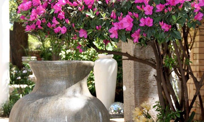 Carletonville House | Selati Guesthouse