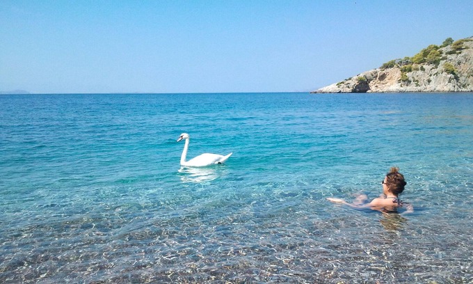 Psatha Villa | Self-catering Beach Studios in front of the sea Only 1h From Athens