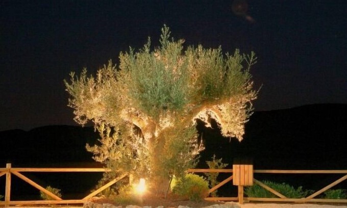 Taberno Cottage | Self catering Sol de Taberno for 6 people