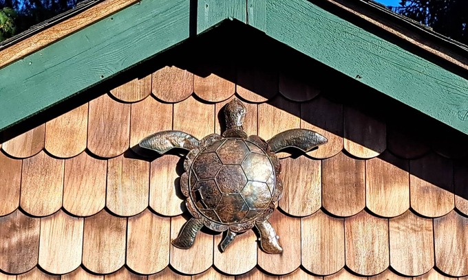 Courtenay Cottage | Self-contained private tiny Cottage near downtown Courtenay. LGBTQ+ friendly.
