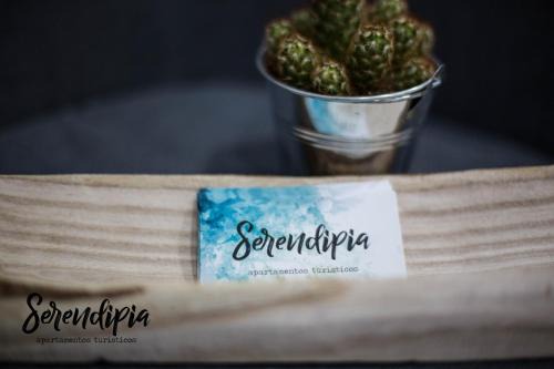 Caceres Old Town Apartment | Serendipia