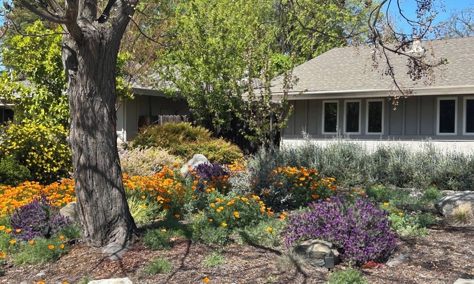 Covell Park House | Serene 3BR Oasis in Davis: Bike-Friendly Haven Near UC Campus
