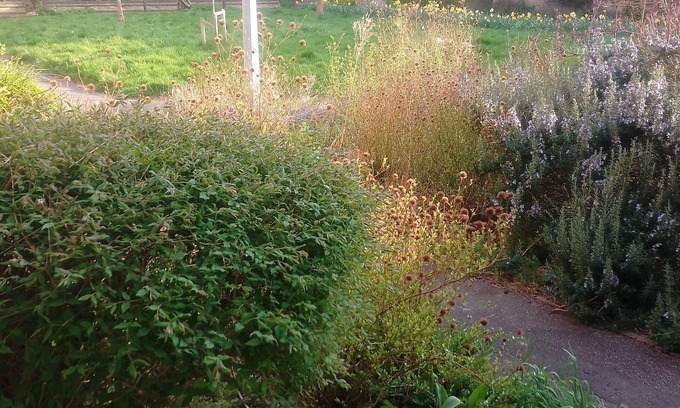 Cherry Hinton Apartment | Serene Calm flat in a beautiful part of Cambridge UK. 1 dble Room 1 other guest.