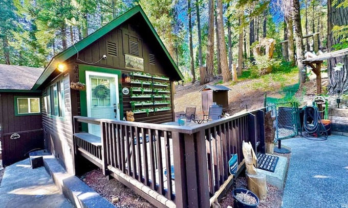 Pollock Pines Cabin | Serene Mountain Escape-Cozy Cabin Near Sly Park