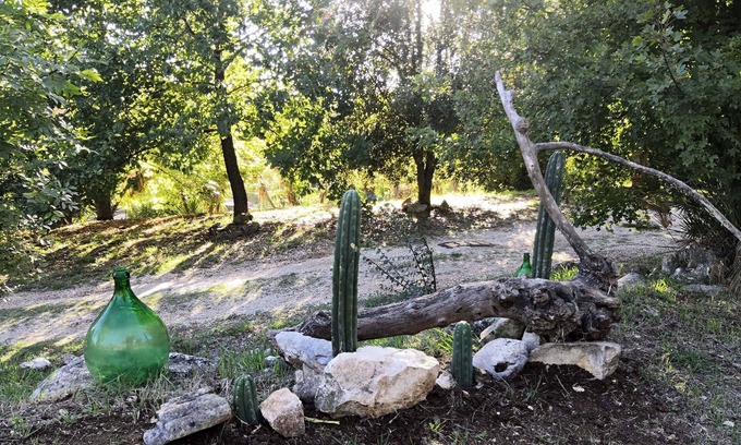 Roccagorga Apartment | Serenella apartment in the nature between sea and mountain