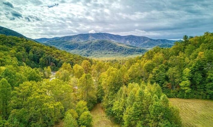 Cosby Cottage | Serenity Cottage -Pickleball Court, Creek, WIFI, Mountain Views, Starting at $79