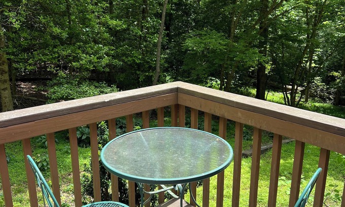 Brevard House | Serenity Home - Forest, Fun, and Adventure