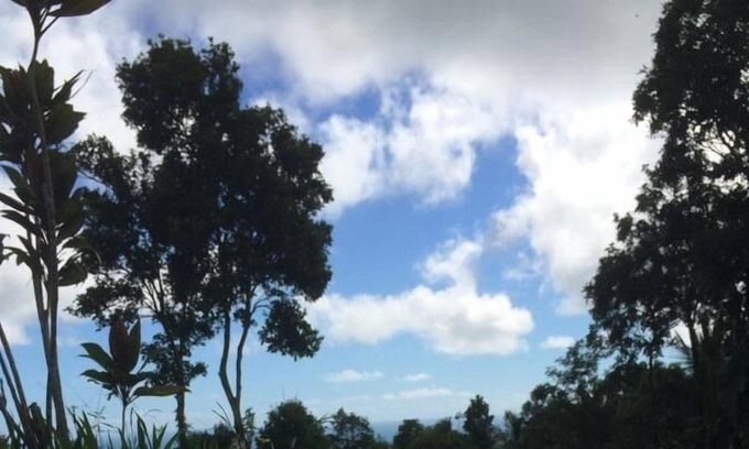Pitahaya Bed & Breakfast | Serenity Rainforest Retreat