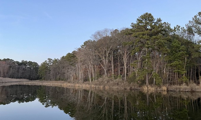 Avenue Cottage | "Serenity"-St. Patrick's Creek w/private pier