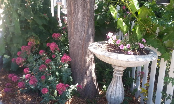 Paso Robles House | Serenity Yoga Wellness Center Private Room for Two