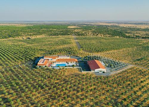Ferreira do Alentejo House | Sesmarias Turismo Rural & SPA