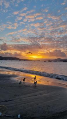 Cachoeira do Bom Jesus Apartment | Seu refùgio a apenas 200 m da praia