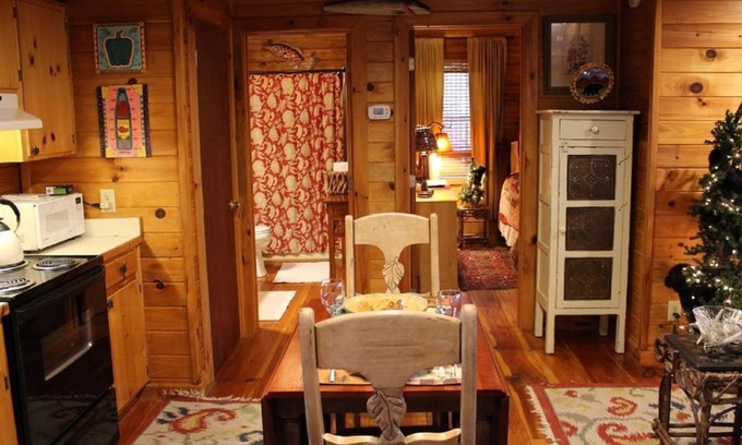 Ellijay Cabin | Shady Hollow-Romantic Couple's Getaway with Hot Tub and High Speed Internet!