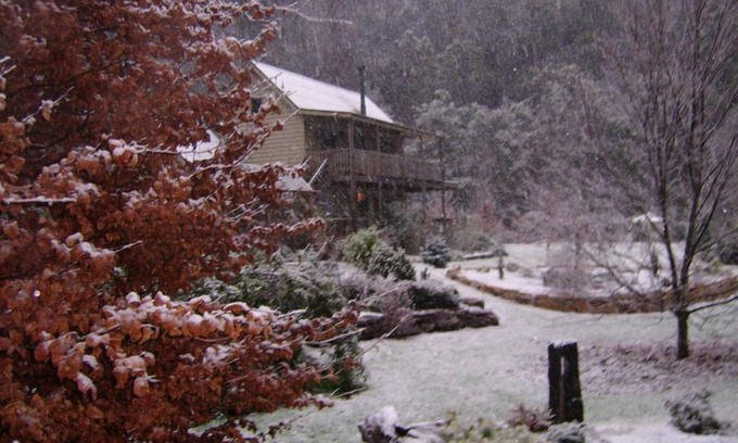 Harrietville Apartment | Shadybrook Alpine Apartment and garden