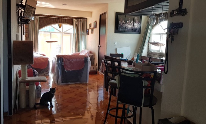 Coyoacan Apartment | Shared Room for travelers in Exchange to study in Unam