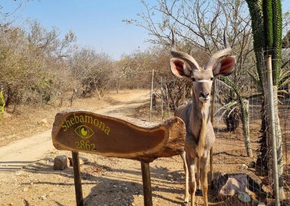 Marloth Park House | Shebamona No loadshedding