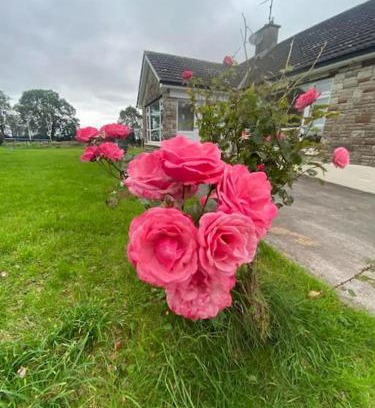Ballyheelan House | Sheelin Side House