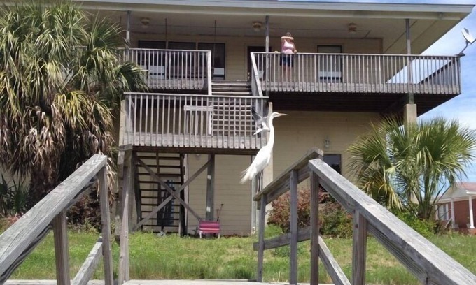 Crawfordville House | Shell Point Beach book now for spring & summer